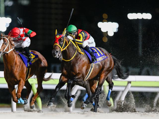 【東海S想定馬・騎手】エートラックス、ビダーヤなど20頭