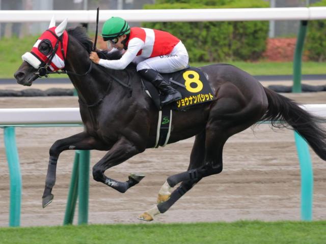 【札幌日経賞】4歳が好成績 人気馬の信頼度が高い長距離戦