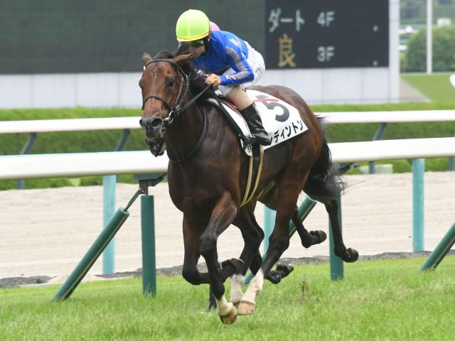 【今日の注目ポイント】マリーンSでレディントンがOP初勝利を狙う