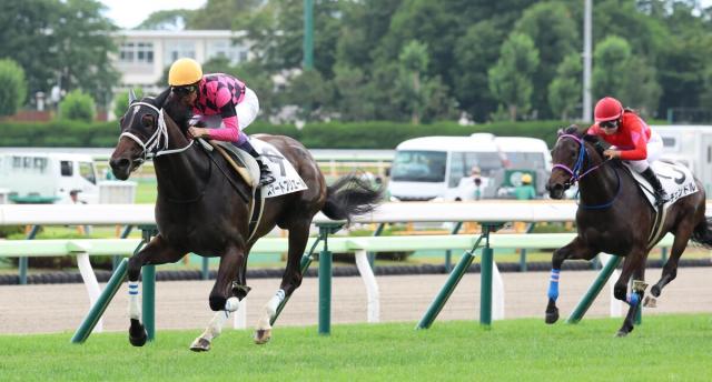 【函館1R・2歳未勝利】武豊騎手がスマートプリエールを初勝利導く　母スマートレイアーに「体の柔らかさが似ている」