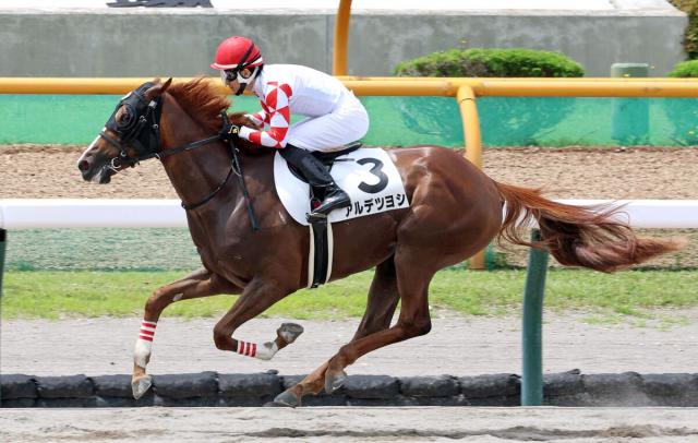 丹内祐次騎手が地元・函館でJRA通算600勝「また来年帰ってきまーす」