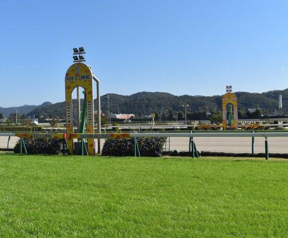 【福島4R・新馬戦】コックオーヴァン差し切りV　津村「返し馬からいい馬だと感じていた」