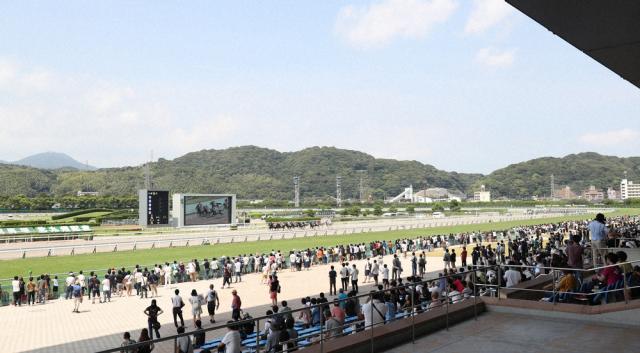 【小倉5R・新馬戦】2番人気ナムラドロンが押し切る　父ダノンスマッシュの産駒はJRA初勝利