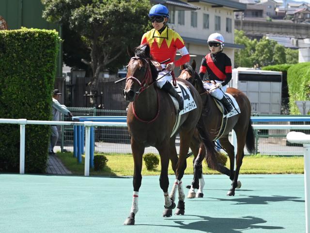 【2歳未勝利小倉1Rレース後コメント】ディーリライズ 高杉吏麒騎手ら