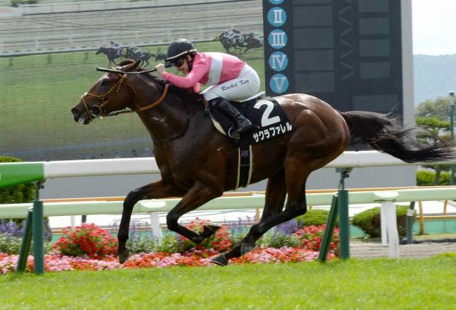 【函館9R・湯浜特別】鞍上キングが函館初勝利　「順調にステップアップできると思います」