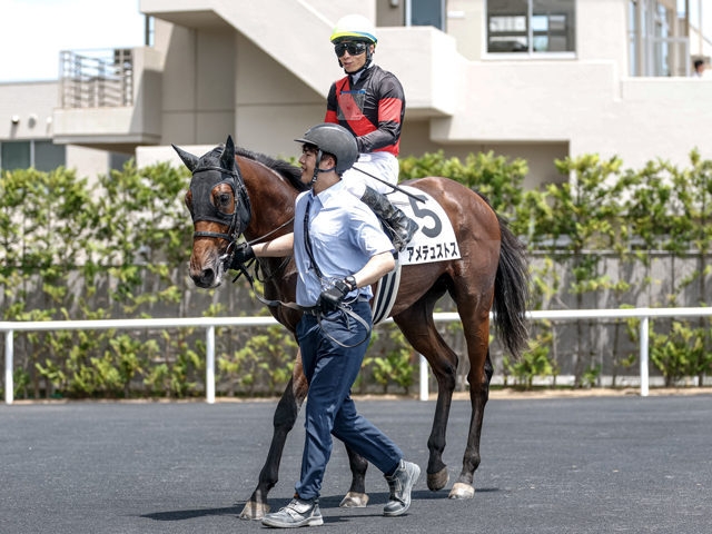 【2歳未勝利福島3Rレース後コメント】アメテュストス大野拓弥騎手ら