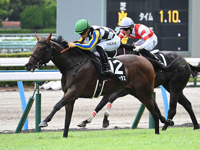 【ひまわり賞結果】アンヘリータスが押し切りデビュー2連勝
