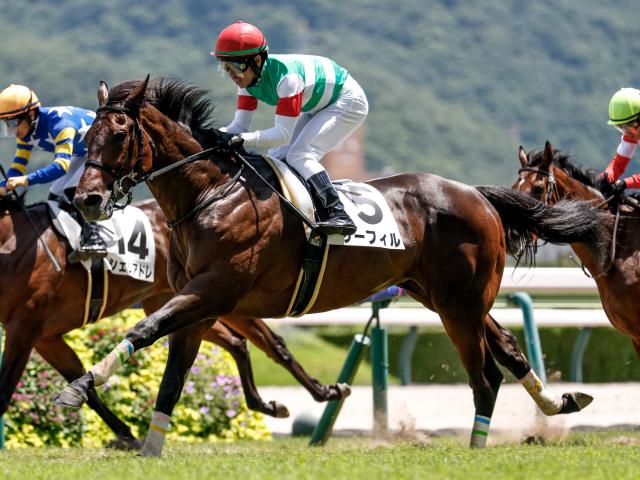 【福島5R新馬戦結果】外国産馬ザーフィルが差し切りV ガイヤース産駒のJRA初勝利