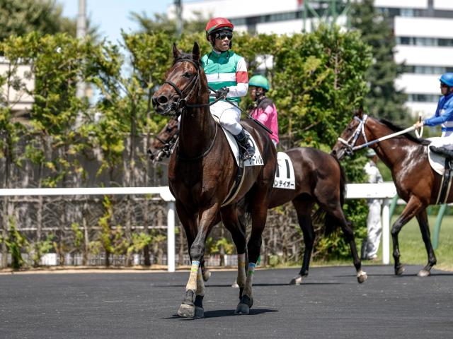 【メイクデビュー福島5Rレース後コメント】ザーフィル戸崎圭太騎手ら