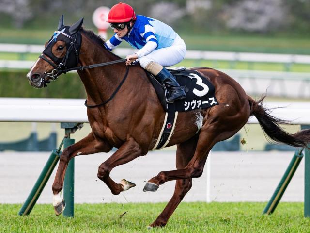 【関屋記念】「大魔神」佐々木主浩オーナーの良血 シヴァースが重賞初制覇なるか