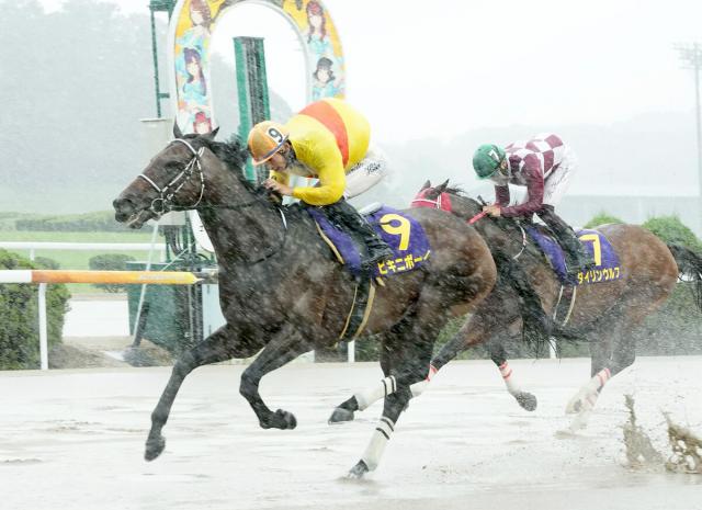 【佐賀・吉野ヶ里記念】1番人気のビキニボーイが重賞3連勝　雨の中ねじ伏せた　飛田愛斗騎手「山口勳さんに感謝」