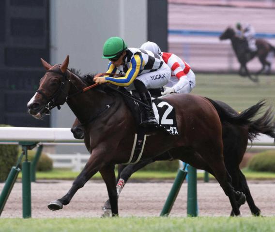 【ひまわり賞】アンヘリータス　デビュー2連勝!　吉村師「落ち着きがありました」