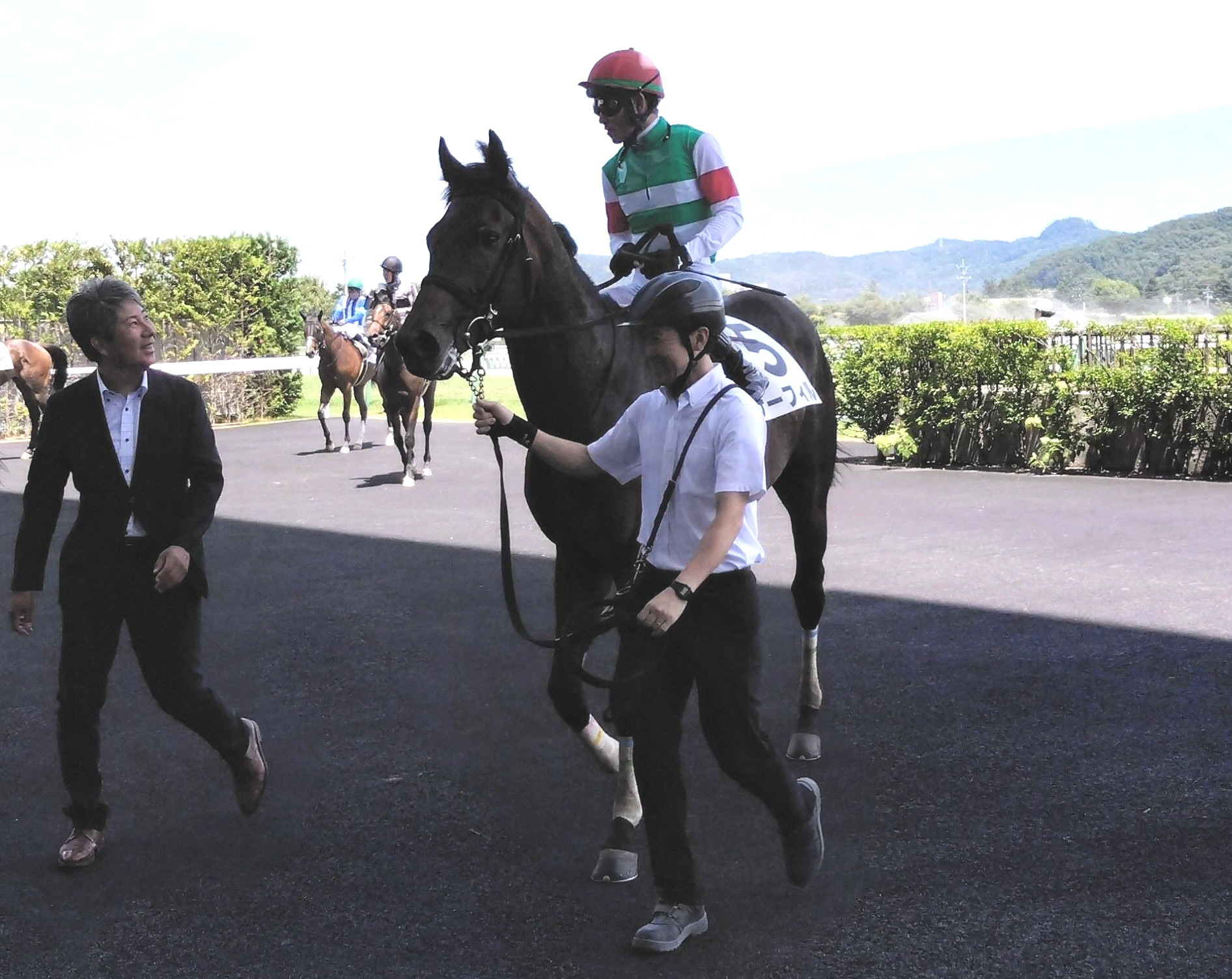 【新馬戦】ザーフィル　荒れ馬場味方にＶ発進　戸崎圭も好評価「能力を感じさせる走り」