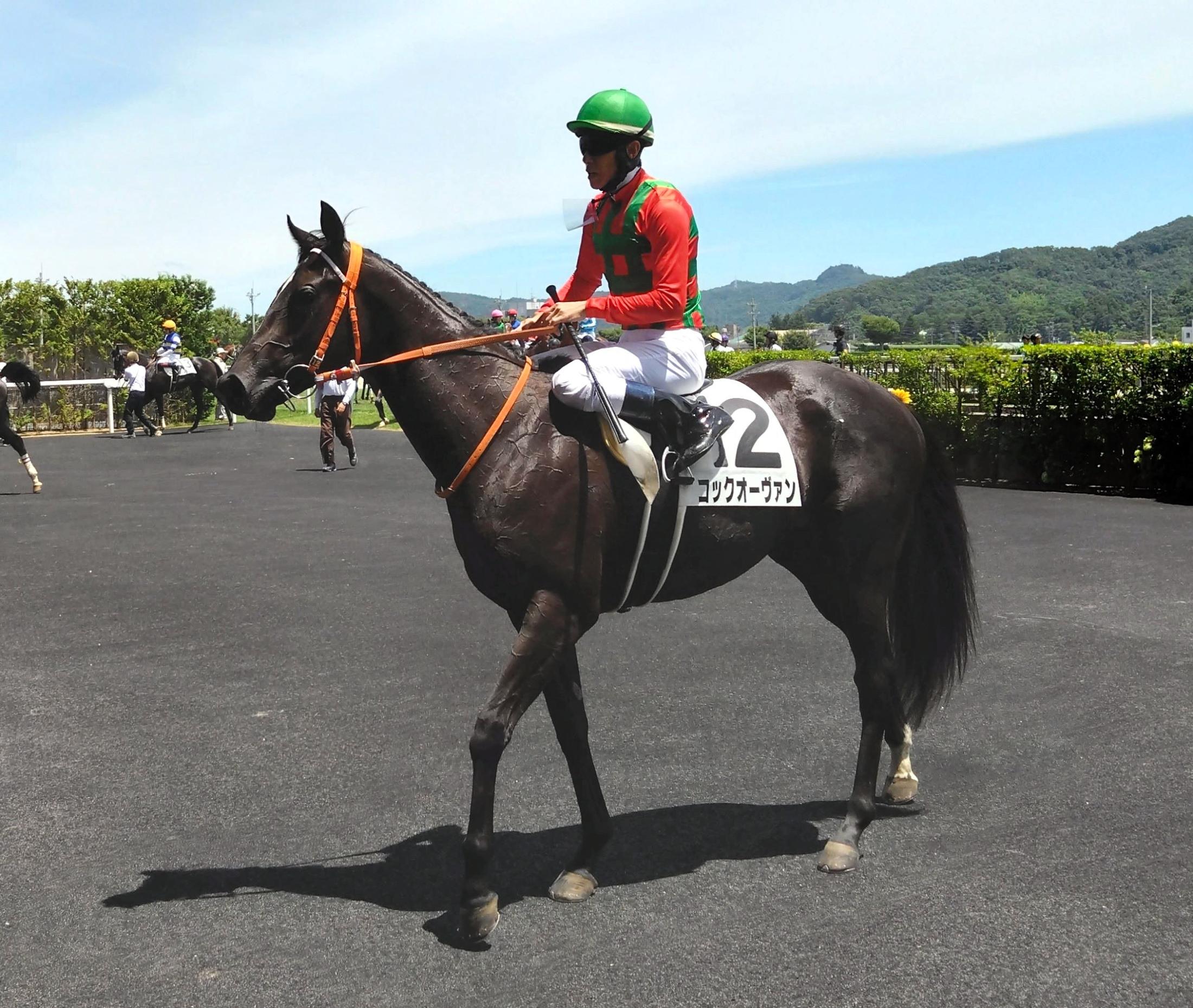 【新馬戦】コックオーヴァン　余裕残しのＶ　津村「上手に競馬してくれました」　将来性にも太鼓判