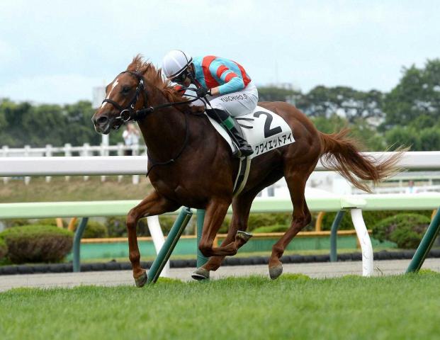 【函館1R・2歳未勝利戦】3番人気クワイエットアイが3戦目で初白星　柴田裕「スムーズに行けました」