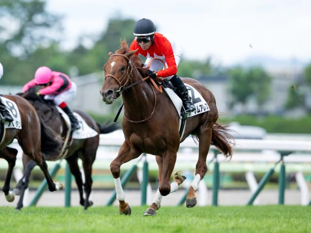 【函館5R新馬戦結果】ハービンジャー産駒アーレムアレスが抜け出し快勝