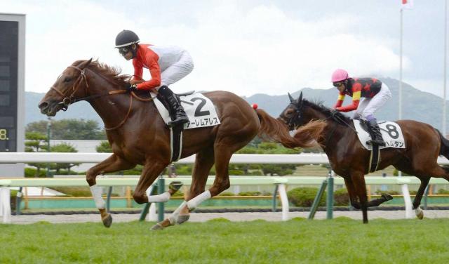 【函館5R・2歳新馬戦】良血アーレムアレスが好位から力強く伸びて快勝　菱田「確信持って乗りました」