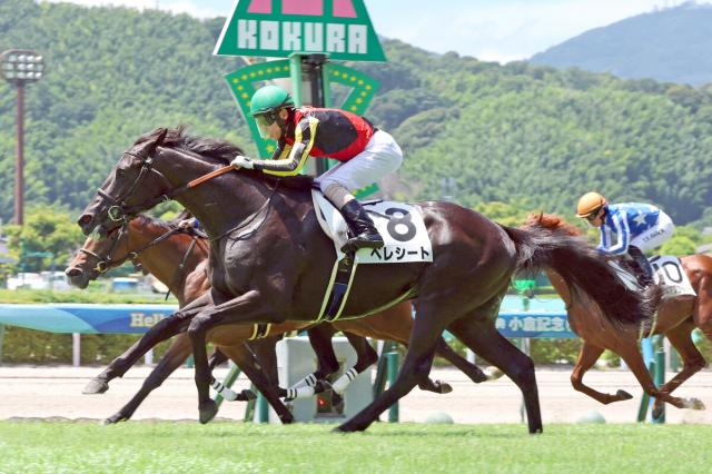 【小倉5R・2歳新馬】クロノジェネシスの初子ベレシートが豪脚でV　斉藤崇調教師「幼いし難しいしで、どうなるかと…」