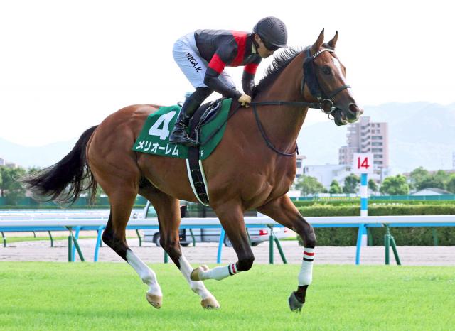 【小倉記念】苦しい走りのまま…1番人気のメリオーレムは9着　川田将雅騎手「暑さにやられたとしか」