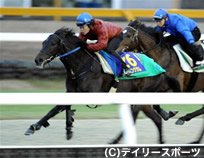 朝日杯FS追い切り情報(1)ローズキングダム | 競馬ニュース - netkeiba