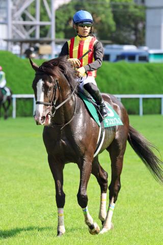 【小倉記念】調子の良さが出たラスカンブレス　上がり最速で4着　荻野極騎手「上手に走ってくれました」