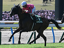 小倉記念を制したイングランドアイズ(c)netkeiba