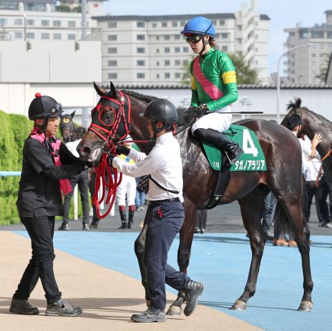 【函館2歳S】3番人気のタガノアラリアはゴール前で伸びるも4着　斎藤新騎手「2回ぐらい大きなロスがあった」