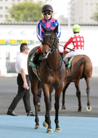 【函館2歳S】カイショーは快勝ならず3着　池添謙一騎手「3コーナーからは窮屈になって他馬にぶつけられたり…」