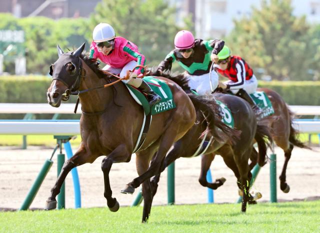 日本ダービー着差ランキングTOP5 ディープインパクトらを超える