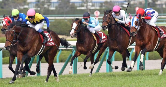 “競走馬は無理”期待の母から生まれた子供が小さすぎて騒然…最小のアイドルホース・メロディーレーン、常識外の活躍までのシンデレラストーリー