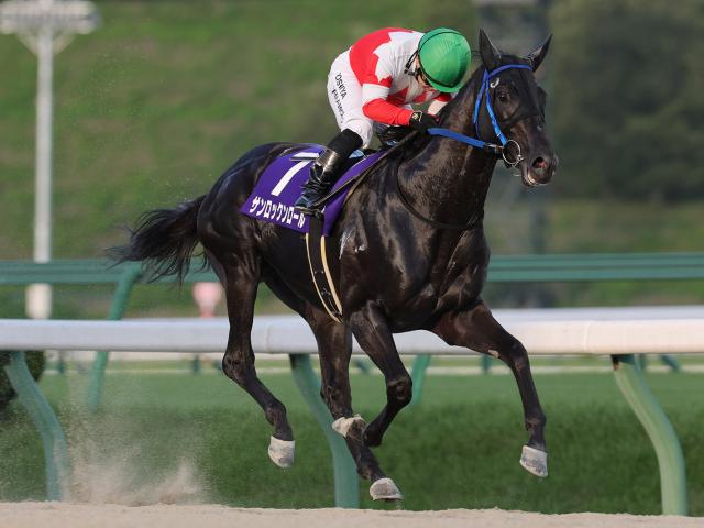 【盛岡・やまびこ賞結果】サンロックンロールが8馬身差圧勝で重賞初V