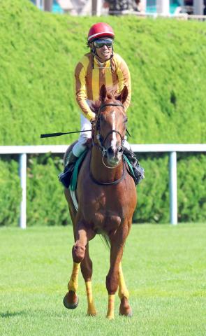 【小倉記念】2着シェイクユアハートの古川吉洋騎手「並ぶ間もなく一瞬で…」勝ち馬に脱帽も「相手なりにしっかり」評価