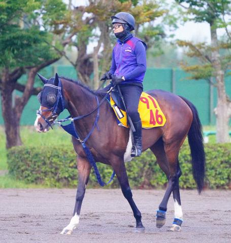 【関屋記念】ボンドガール悲願重賞Vだ!　10度目の挑戦は名手ルメールで“必勝態勢”