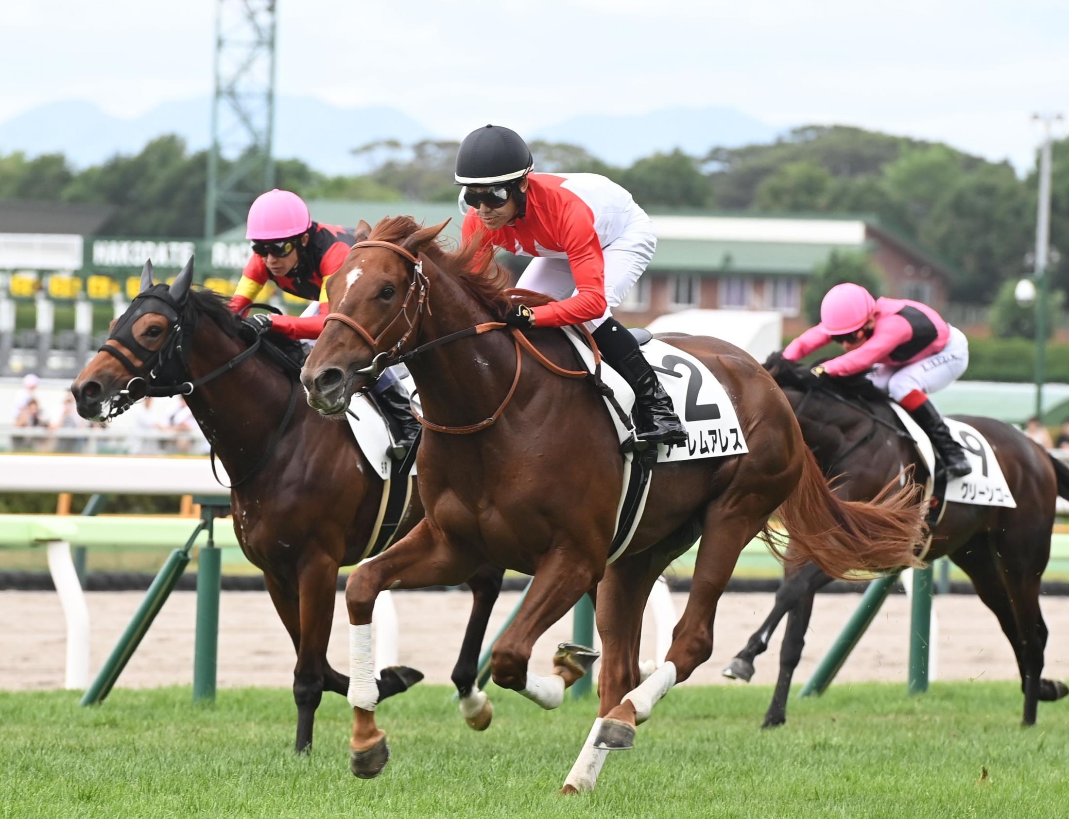 【新馬戦】アーレムアレス　力強く伸びて初陣を飾る　菱田「馬群の中で競馬できたことは次につながる」