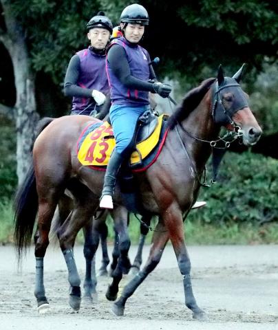 【関屋記念・浅子の特注馬】アルセナールに感じる母系の影響力　マイルCS馬の姉ナミュールらとの類似点