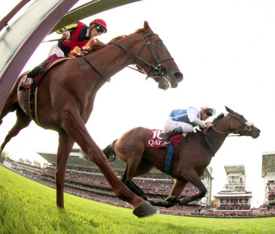 ゴール直前で急失速…オルフェーヴルの衝撃で池江師初めて悔し涙…日本競馬悲願の凱旋門賞Vの日を夢見て