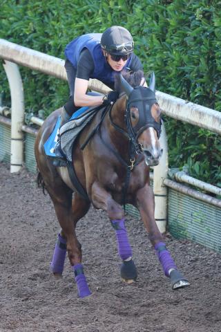【関屋記念】良血シヴァースが前走10着から反撃　友道調教師「うまく競馬できれば」　母はG1・2勝ヴィブロス