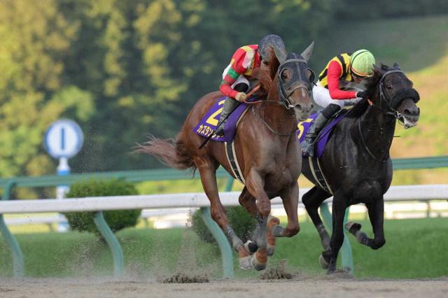 【盛岡12R　マーキュリーC】ロングスパート届いた　カズタンジャー　重賞初挑戦初V　新谷厩舎ワンツー