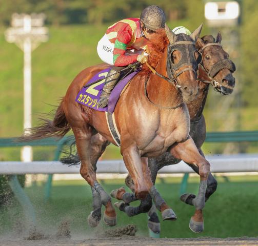 【マーキュリーC】カズタンジャーが豪快差し切り「本人に進んでいく気がないからこの競馬になっています」川田将雅騎手は単独最多4勝目