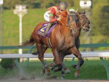 マーキュリーCを制したカズタンジャー(提供：岩手県競馬組合)
