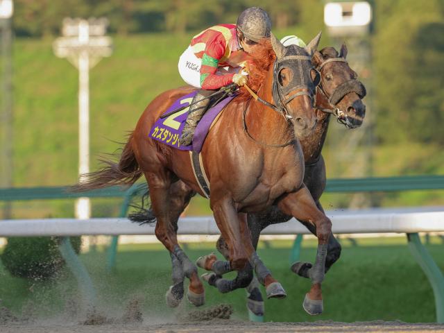 【盛岡・マーキュリーC結果】カズタンジャーが差し切りV！重賞初挑戦で初制覇