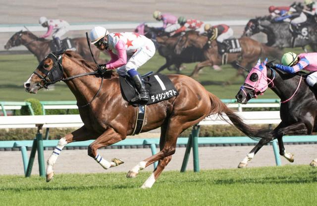 【関屋記念】しらさぎS4着の5歳ヤマト!　ハンデ戦53キロのアルセナールにも出番