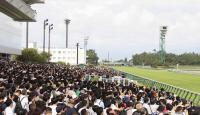 昨年もにぎわいを見せた新潟競馬場