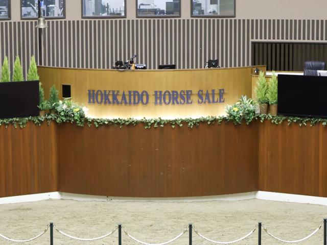 セレクションセールの前日展示が開催 23日当日には250頭が上場予定