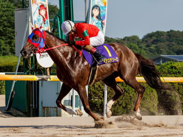 【佐賀・霧島賞結果】ルピナステソーロが逃げ切って連覇達成