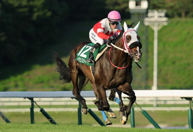 【盛岡競馬　若鮎賞】セイクリスティーナV　次走は8月ジュニアグランプリへ