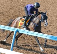 Wコースで追い切ったボンドガール（カメラ・荒牧　徹）