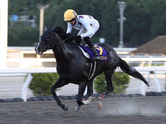 【高知・トレノ賞結果】ロードインファイトが5馬身差圧勝で重賞初制覇