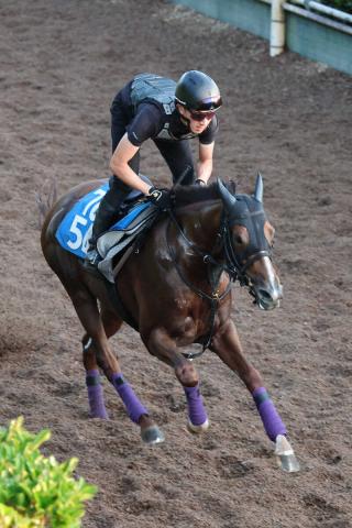【関屋記念】シヴァース　仕上がり太鼓判　友道師「能力は十分に通用する」