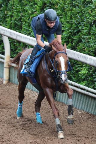 【関屋記念】フォーチュンタイム　休み明けも万全　陣営「競馬に向けてしっかり乗り込めた」